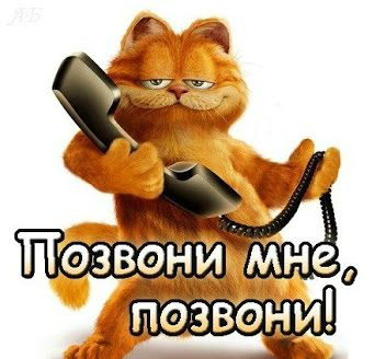 Открытки с прикольными пожеланиями. Прикольные пожелания. Юмор.