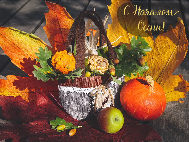 Открытки с поздравлениями с началом осени. Начало осени открытки.
