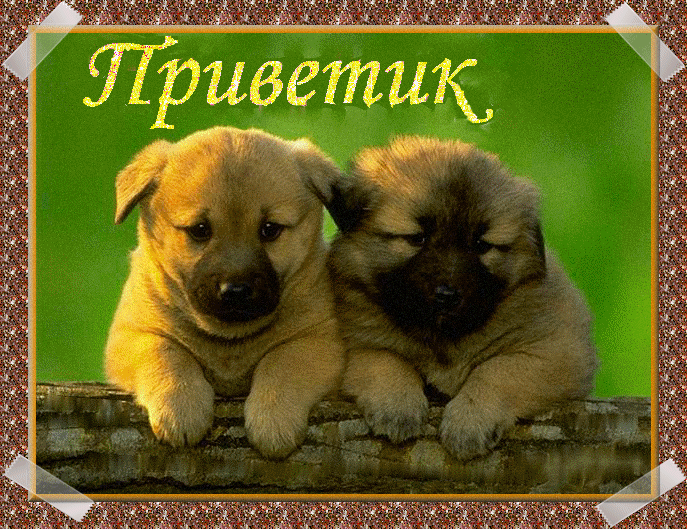 Открытки с приветствием друзей. Открытки для друга и подруги.