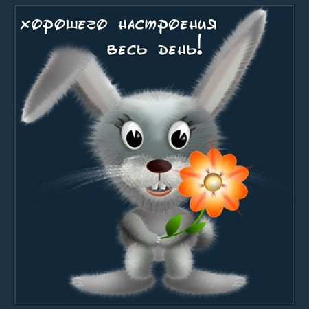 Открытки для хорошего настроения. Красивые открытки - хорошего настроения.