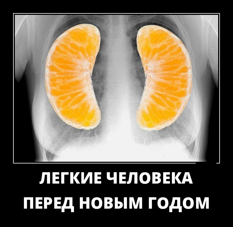 Открытки демотиваторы. Прикольные открытки в демотиваторах. 