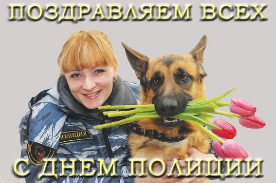 Открытки Открытки с поздравлениями ко Дню полиции. С Днём полиции открытки. Открытки с поздравлениями ко Дню полиции. С Днём полиции открытки. Красивые открытки смотреть онлайн бесплатно. Поздравления на День полиции. Поздравить полицейских.
