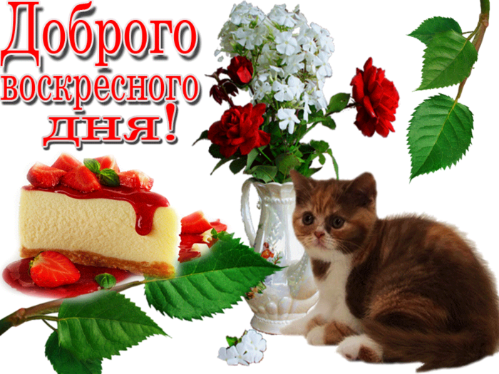 Открытки с пожеланием удачного воскресенья. Открытки на воскресенье.