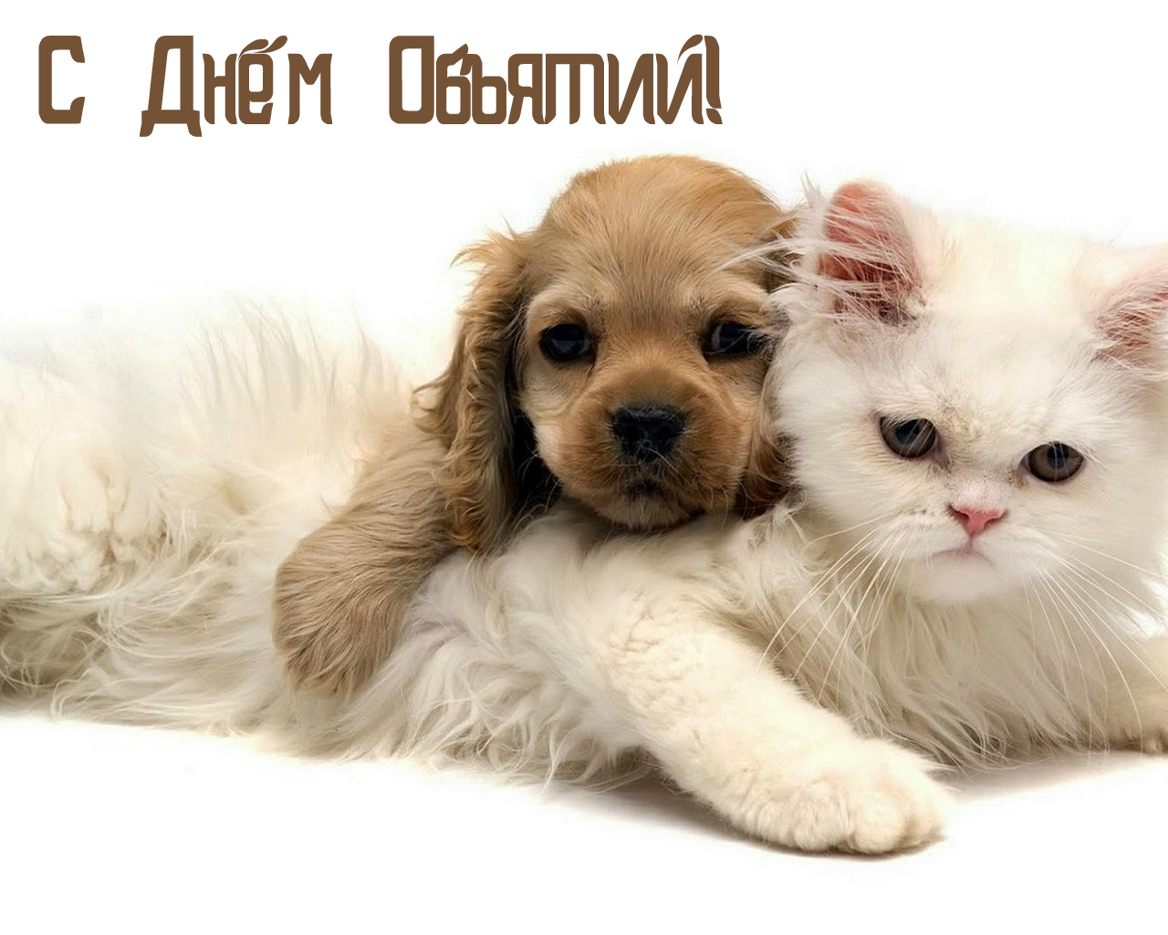 Открытки с поздравлениями на международный День объятий. С Днём объятий!