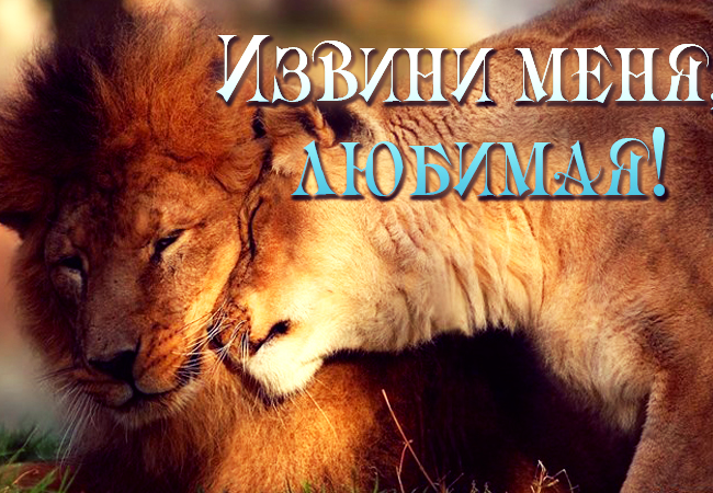 Открытки с извинениями для любимых. Просьба о прощении любимого.