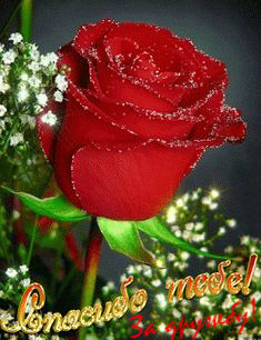 Открытки с любовью для друзей. Открытки другу и подруге, друзьям.