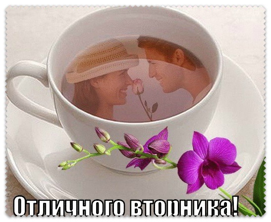 Открытки с пожеланием удачного вторника. Хорошего вторника. 