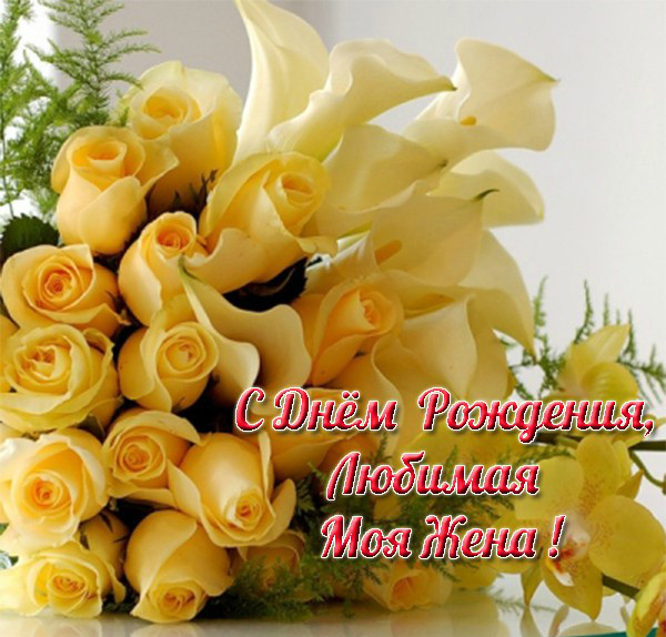 Открытки любимой жене на любой праздник. Открытки для жены с любовью.