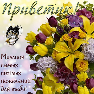 Открытки с приветствием. Открытки с надписью - привет! Приветствие.