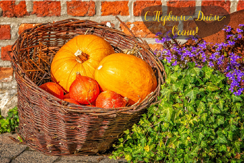 Открытки с поздравлениями с началом осени. Начало осени открытки.