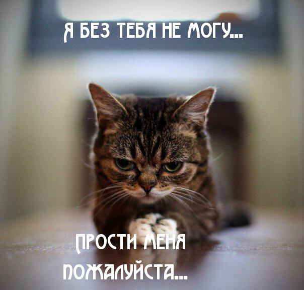 Открытки с извинениями для любимых. Просьба о прощении любимого.