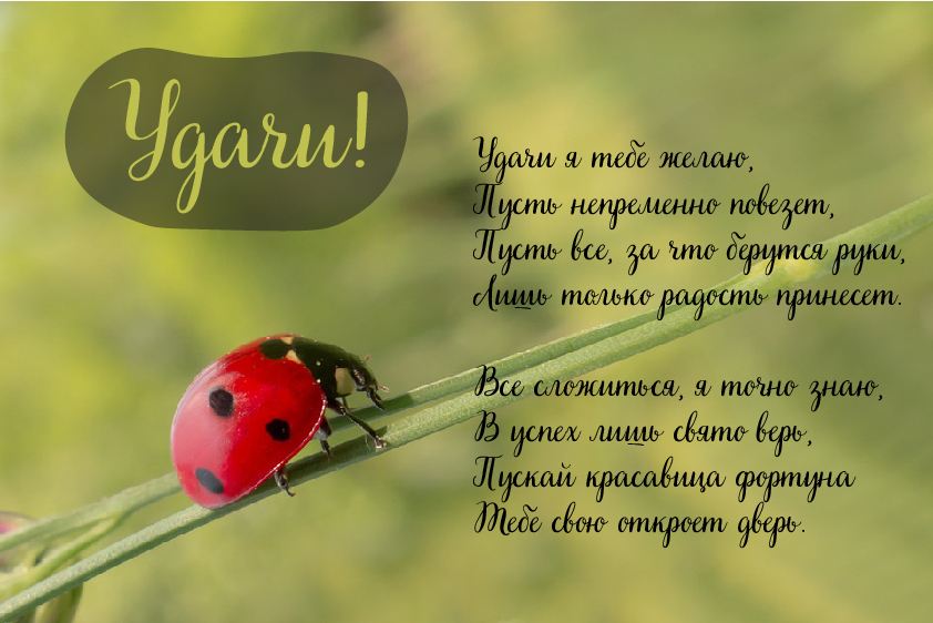 Открытки Открытки с пожеланиями удачи. Символы удачи в открытках. Желаю удачи! Открытки с пожеланиями удачи. Символы удачи в открытках. Желаю удачи! Красивые открытки смотреть онлайн бесплатно. Открытки на удачу для родных и близких. Удачи во всём!