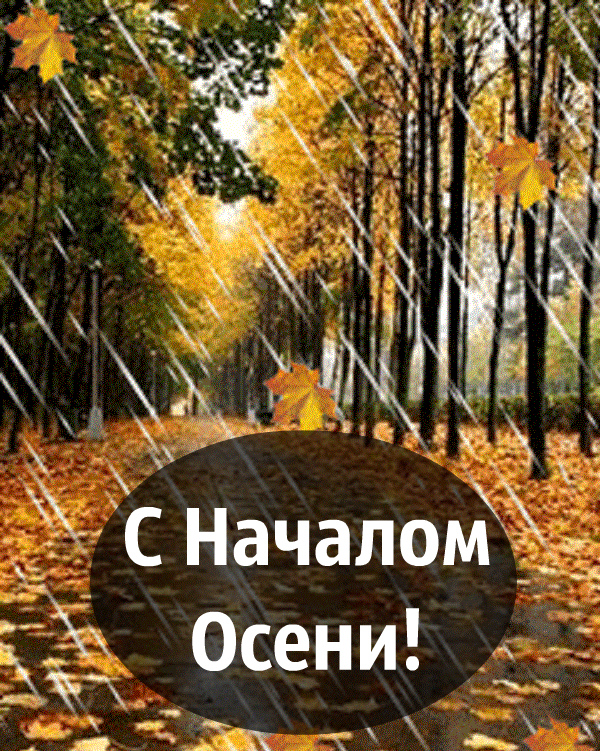 Открытки Открытки с поздравлениями с началом осени. Начало осени открытки. Открытки с поздравлениями с началом осени. Начало осени открытки. Красивые открытки смотреть онлайн бесплатно. Поздравления с началом осени для родных и близких.