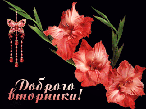 Открытки с пожеланием удачного вторника. Хорошего вторника. 