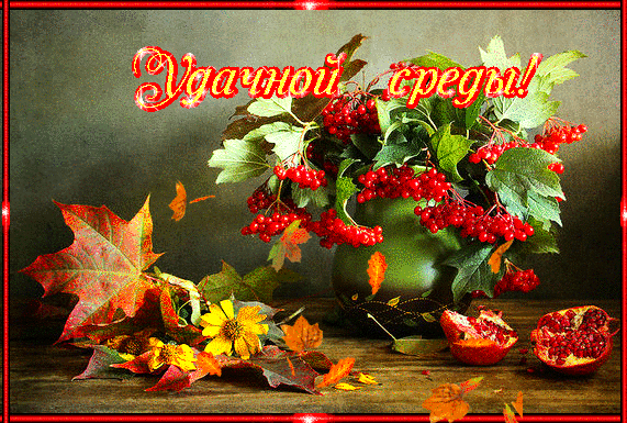 Удачной среды