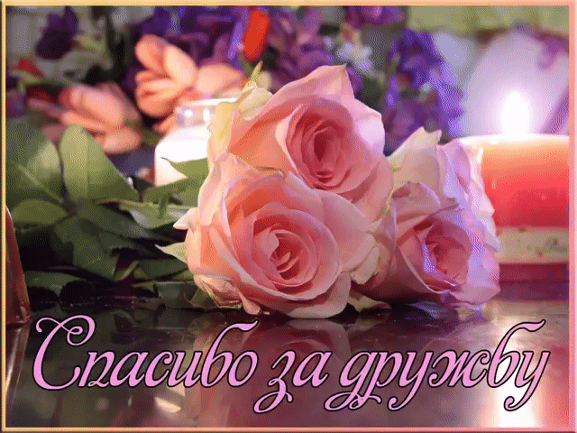 Спасибо за дружбу