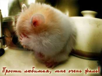 Открытки с извинениями любимым Открытки с извинениями для любимых. Просьба о прощении любимого.