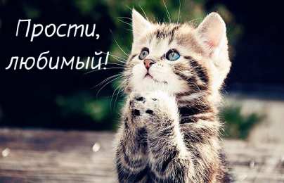 Открытки с извинениями любимым Открытки с извинениями для любимых. Просьба о прощении любимого.