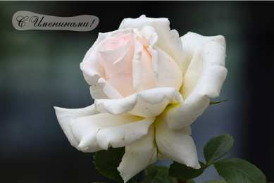 Открытки Именины Открытки на Именины. Поздравления с Именинами в открытках. Именины. Открытки на Именины. Поздравления с Именинами в открытках. Именины. Красивые открытки смотреть онлайн бесплатно. Поздравить с Именинами родных. День Именин поздравление.