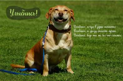 Открытки Улыбнись Открытки для улыбки. Пожелания хорошего настроения и улыбок. Открытки для улыбки. Пожелания хорошего настроения и улыбок. Красивые открытки смотреть онлайн бесплатно. Пожелания улыбок для родных и близких. Улыбнись миру!!