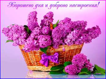 Хорошего дня Открытки с надписью - хорошего дня! Открытки на каждый день.