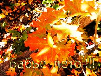 Бабье лето Открытки с поздравлениями на Бабье Лето. С Бабьим Летом! Праздник.