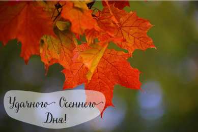 Открытки Осень Открытки на осень. Осенние открытки. С осенью поздравления.  Открытки на осень. Осенние открытки. С осенью поздравления. Красивые открытки смотреть онлайн бесплатно. Хорошего осеннего дня и осеннего утра. Осенние открытки для близких.