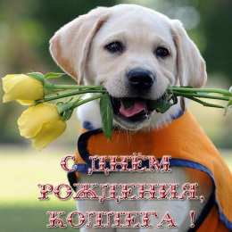 С Днём рождения коллеге Открытки с поздравлением на День Рождения коллеге. Открытки коллеге.