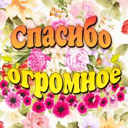 Спасибо Открытки с надписью - спасибо!   Открытки с благодарностями.