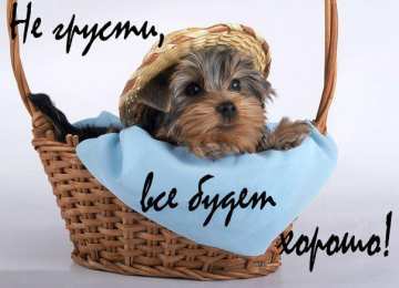 Открытки Всё будет хорошо! Открытки - всё будет хорошо! Приободрить словами - всё будет хорошо!  Открытки - всё будет хорошо! Приободрить словами - всё будет хорошо! Красивые открытки смотреть онлайн бесплатно. Поднять настроение родным и близким. Всё будет хорошо!