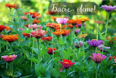 Бабье лето Открытки с поздравлениями на Бабье Лето. С Бабьим Летом! Праздник.