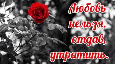 Романтические цитаты Открытки с романтическими цитатами и высказываниями. Романтика.