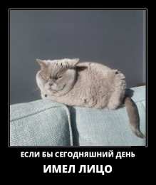 Демотиваторы Открытки демотиваторы. Прикольные открытки в демотиваторах. 