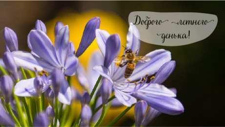 Лето Открытки на лето. Пожелания хороших летних дней. Летние открытки.