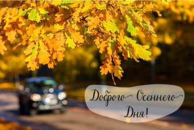 Открытки Осень Открытки на осень. Осенние открытки. С осенью поздравления.  Открытки на осень. Осенние открытки. С осенью поздравления. Красивые открытки смотреть онлайн бесплатно. Хорошего осеннего дня и осеннего утра. Осенние открытки для близких.