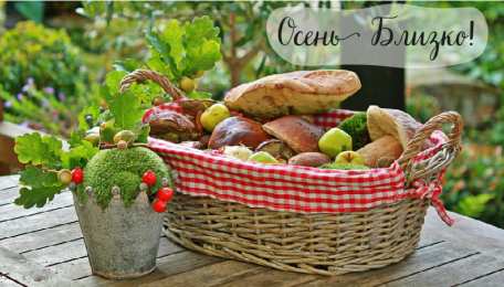 Открытки Скоро осень Открытки в преддверии осени. Скоро осень поздравления. Осень близко. Открытки в преддверии осени. Скоро осень поздравления. Осень близко. Красивые открытки смотреть онлайн бесплатно. Скоро осень открытки в преддверии осени. Осень.