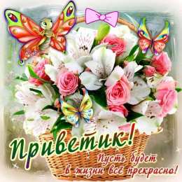 Привет Открытки с приветствием. Открытки с надписью - привет! Приветствие.