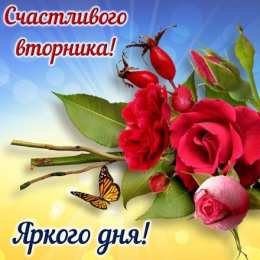 Удачного вторника Открытки с пожеланием удачного вторника. Хорошего вторника. 