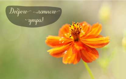 Лето Открытки на лето. Пожелания хороших летних дней. Летние открытки.