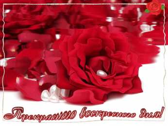 Удачного воскресенья Открытки с пожеланием удачного воскресенья. Открытки на воскресенье.