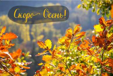 Открытки Скоро осень Открытки в преддверии осени. Скоро осень поздравления. Осень близко. Открытки в преддверии осени. Скоро осень поздравления. Осень близко. Красивые открытки смотреть онлайн бесплатно. Скоро осень открытки в преддверии осени. Осень.