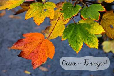 Открытки Скоро осень Открытки в преддверии осени. Скоро осень поздравления. Осень близко. Открытки в преддверии осени. Скоро осень поздравления. Осень близко. Красивые открытки смотреть онлайн бесплатно. Скоро осень открытки в преддверии осени. Осень.