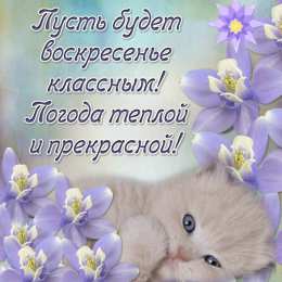 Удачного воскресенья Открытки с пожеланием удачного воскресенья. Открытки на воскресенье.