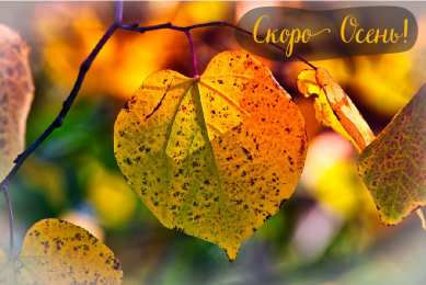 Открытки Скоро осень Открытки в преддверии осени. Скоро осень поздравления. Осень близко. Открытки в преддверии осени. Скоро осень поздравления. Осень близко. Красивые открытки смотреть онлайн бесплатно. Скоро осень открытки в преддверии осени. Осень.