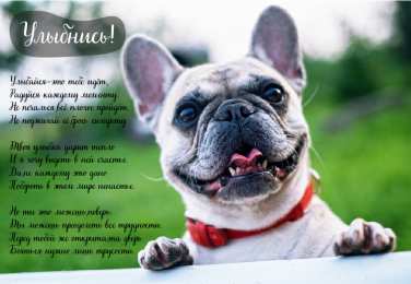 Открытки Улыбнись Открытки для улыбки. Пожелания хорошего настроения и улыбок. Открытки для улыбки. Пожелания хорошего настроения и улыбок. Красивые открытки смотреть онлайн бесплатно. Пожелания улыбок для родных и близких. Улыбнись миру!!