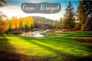 Открытки Скоро осень Открытки в преддверии осени. Скоро осень поздравления. Осень близко. Открытки в преддверии осени. Скоро осень поздравления. Осень близко. Красивые открытки смотреть онлайн бесплатно. Скоро осень открытки в преддверии осени. Осень.