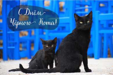 День черного кота Открытки с поздравлениями ко Дню чёрного кота. С Днём чёрного кота!