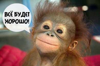 Открытки Всё будет хорошо! Открытки - всё будет хорошо! Приободрить словами - всё будет хорошо!  Открытки - всё будет хорошо! Приободрить словами - всё будет хорошо! Красивые открытки смотреть онлайн бесплатно. Поднять настроение родным и близким. Всё будет хорошо!