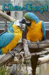 Открытки С Днём поцелуя Открытки с поздравлениями ко Дню поцелуя. С Днём поцелуя открытки. Открытки с поздравлениями ко Дню поцелуя. С Днём поцелуя открытки. Красивые открытки смотреть онлайн бесплатно. Поздравления на День поцелуя. Поцелуйчики открытки.