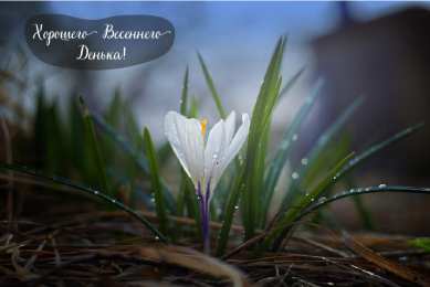 Открытки Весна Открытки на весну. Весенние открытки. Весенние пожелания на каждый день. Открытки на весну. Весенние открытки. Весенние пожелания на каждый день. Красивые открытки смотреть онлайн бесплатно. Весеннее настроение и пожелание хорошего дня.